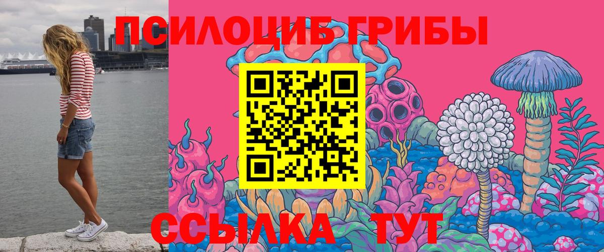 Псилоцибиновые грибы прущие грибы Ефремов